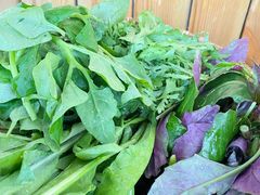 -攀枝花野菜铜火锅(万科凯德店)