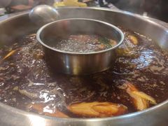 -金鼎雪山牦牛杂火锅(理县总店)