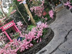 -海口观澜湖火山温泉谷