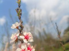 -苏州上方山国家森林公园