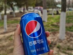 -西安浐灞国家湿地公园