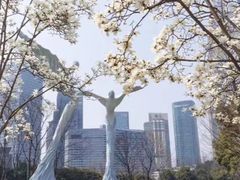 -陆家嘴中心绿地