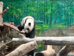 -灵玲国际马戏城