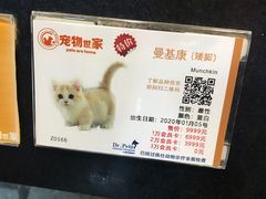 -宠物世家(仲盛世界商城店)