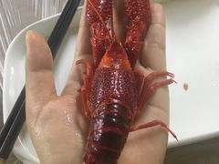 -龙虾奇迹(大华三路店)