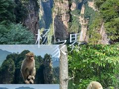 -张家界天门山国家森林公园