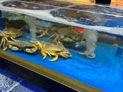 -炊江南·上海菜(国展华漕店)