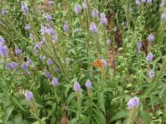 景观位-劳模山庄