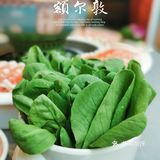 来自内蒙草原的额尔敦一定不要错过