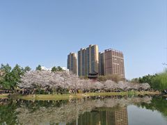 -堤角公园