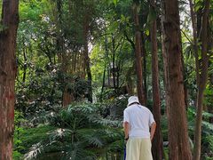 -成都市活水公园