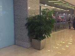 -UME影城(安贞DTS:X店)