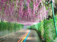 -东莞观音山旅游风景区
