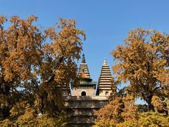 -北京石刻艺术博物馆(五塔寺)