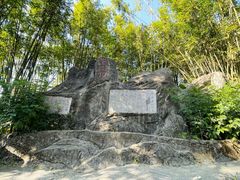-东莞市大岭山森林公园