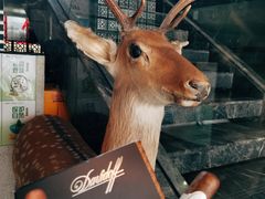 -秦园酒楼(水岸星城店)