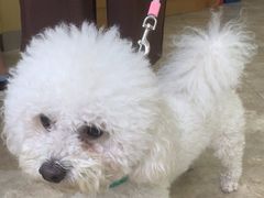 -美联众合动物医院·24h转诊中心