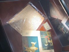-武汉知音号