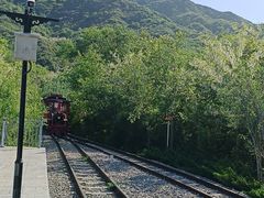 -黄金寨原生态旅游区