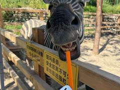 -水上乐园·欢乐世界