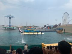 -秦皇岛乐岛海洋王国