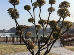 -尚湖风景区