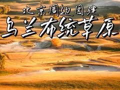 -乌兰布统草原