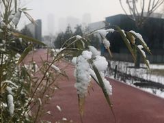 -迎泽公园