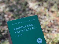 -福田红树林生态公园