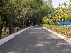 -三水森林公园