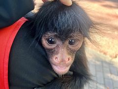 -水上乐园·欢乐世界