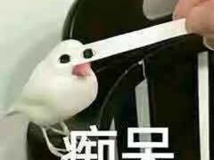 -翠云水煮鱼(双龙大道店)