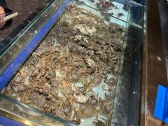 -鼎香缘海鲜自助火锅烤肉(锦辉购物广场店)