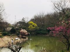 -南京市江宁方山