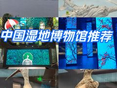 -中国湿地博物馆