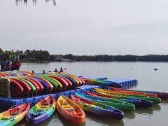 -上海海湾国家森林公园