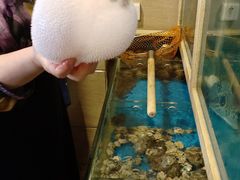 -天正河鲀·河豚亭(大连店)