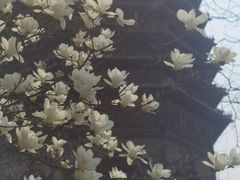 -玲珑塔公园