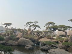 -罗红摄影艺术馆