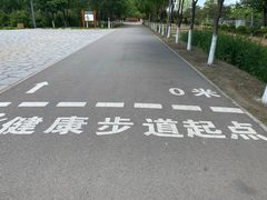 -东郊湿地公园