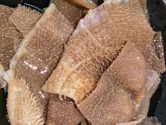 黑毛肚-捞围鲜·港式打边炉(海阳路店)