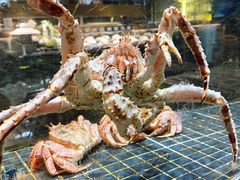 -璞御·海鲜·雪花牛肉局(宾水西道店)