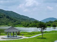 -风云岭森林公园