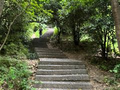 -紫金山山顶公园