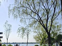 -丁香湖公园