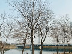 -北龙湖湿地公园