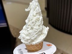 -野人先生现做冰淇淋(北京环宇荟店)