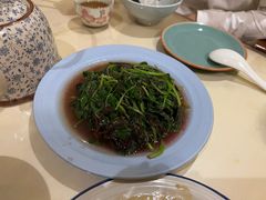 菊叶苋菜-吉事利茶餐厅