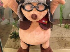 android_upload_pic-济州岛泰迪熊博物馆