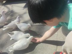 -天津妈祖文化园